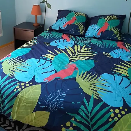 T3 Ideal, Proche Et Centre, Parking, Balcon - Fr-1-319-491 アパート アルカション